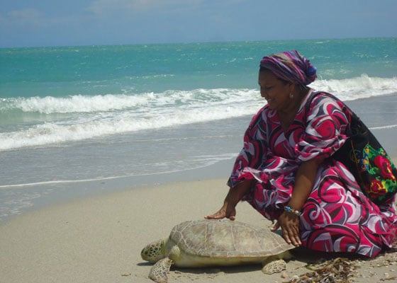 La wayúu que pagó por la libertad de esta tortuga