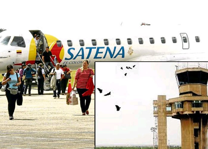 Los gallinazos espantaron a los vuelos de Satena