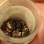  - Cinco años viviendo a punta de carne cruda