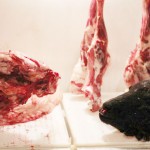  - Cinco años viviendo a punta de carne cruda