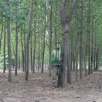 El artista chino que se camufló en las revistas Semana, SoHo y Dinero - -- Las2orillas - El artista chino que se camufló en las revistas Semana, SoHo y Dinero