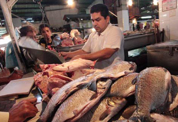 Venezolanos prefieren vender su pescado en Colombia