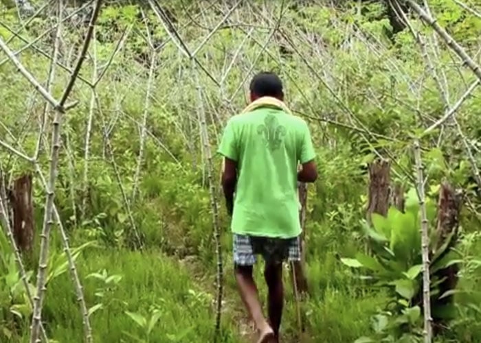 Sixto es el único sobreviviente de la etnia Tinigua