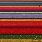  - Los colores de la naturaleza: sitios que pocos conocen