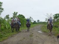 Mujeres agredidas por empresas ganaderas