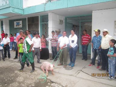 En Argelia con cerdos callaron inconformidades entre alcaldesa y aomunidad
