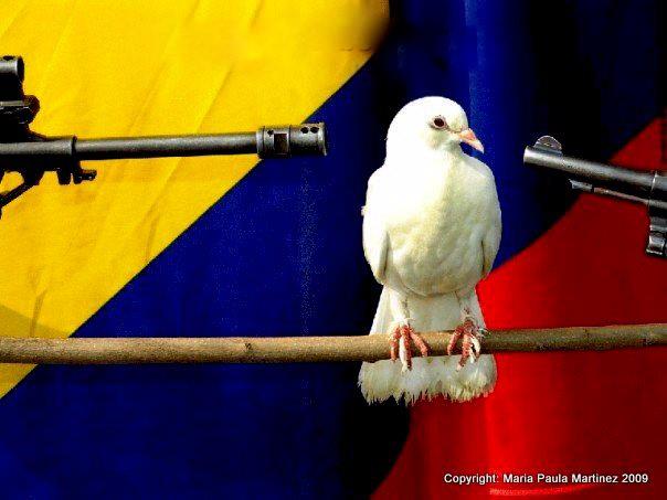 Mujeres que votan: culpables o victimas