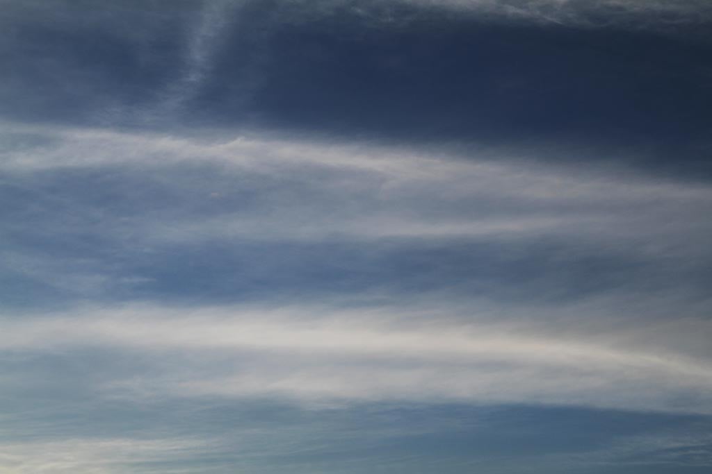 La lucha almada: el terrorismo de la razón