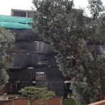  - La millonaria derrota de Pedro Gómez con los vecinos de Rosales