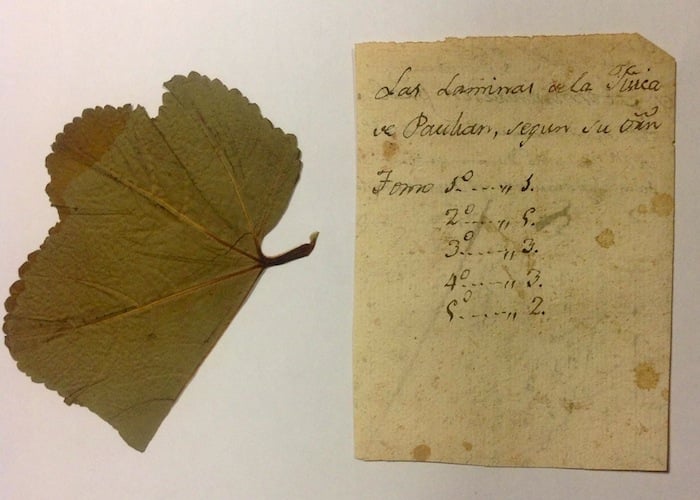 Los hallazgos en la Biblioteca Nacional de Colombia