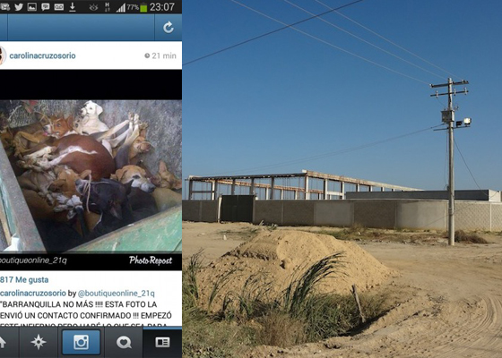 La fotografía falsa de un holocausto real