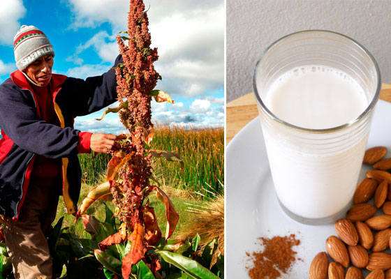 5 tendencias que mandan la parada a la hora de comer