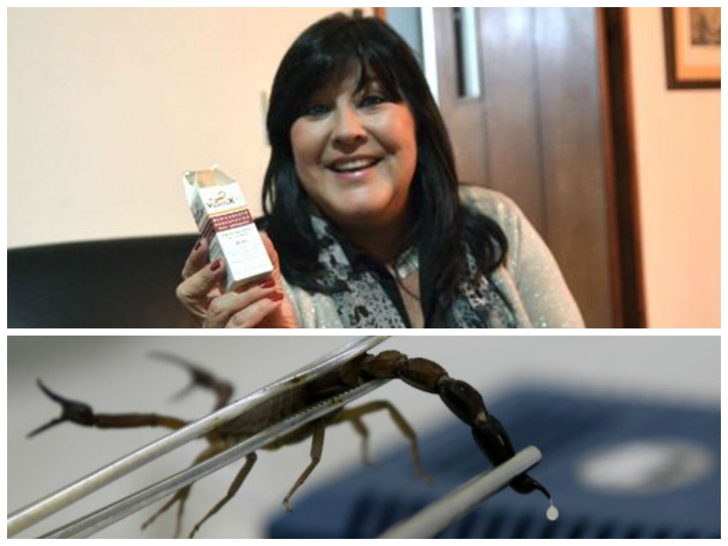 “Me dieron seis meses de vida por el cáncer que sufría, el veneno del alacrán azul me ha salvado”