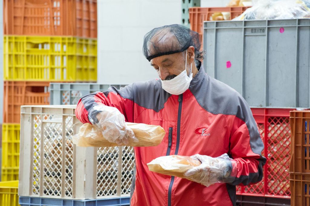 ¿Quién se come las frutas magulladas y los enlatados que desechan los supermercados?