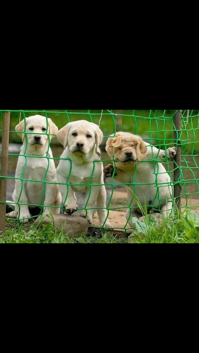 Lo hora de ser honesto