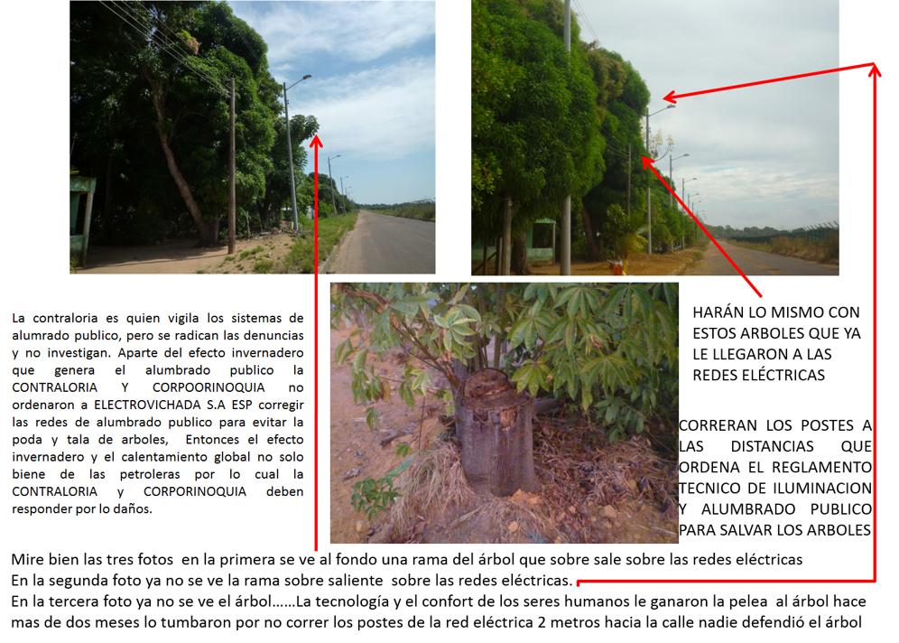 Corporinoquia la más burlada o las más inficiente