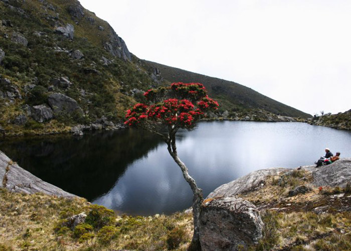 Santurbán, un caso de diplomacia científica 