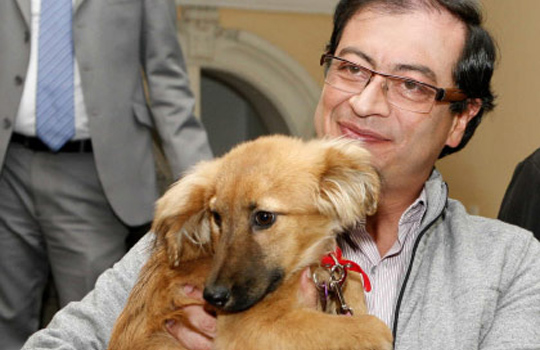 Bacatá, la perra de Petro es la única que no se va de la Alcaldía