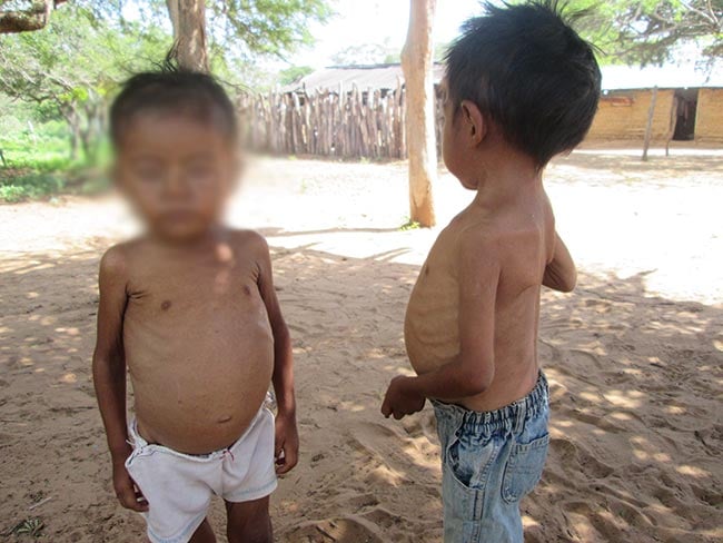 A los niños Wayuu no solo se les niega el derecho a la vida sino también el derecho a la justicia