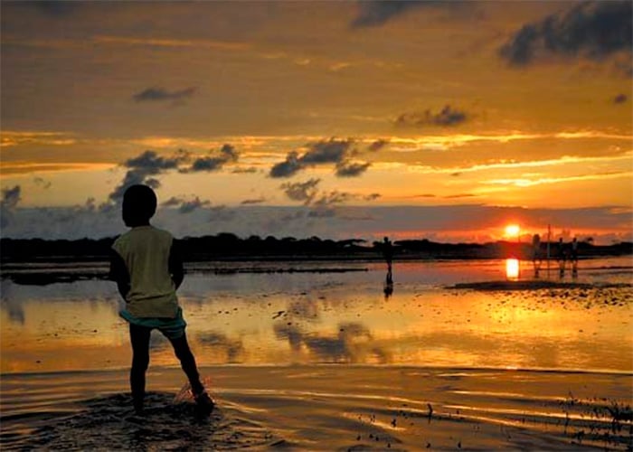 Entre el hambre y la guerra: los niños de la Guajira