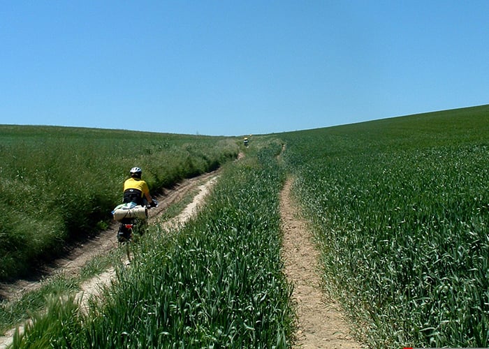 Camino al andar: Viajar es vivir