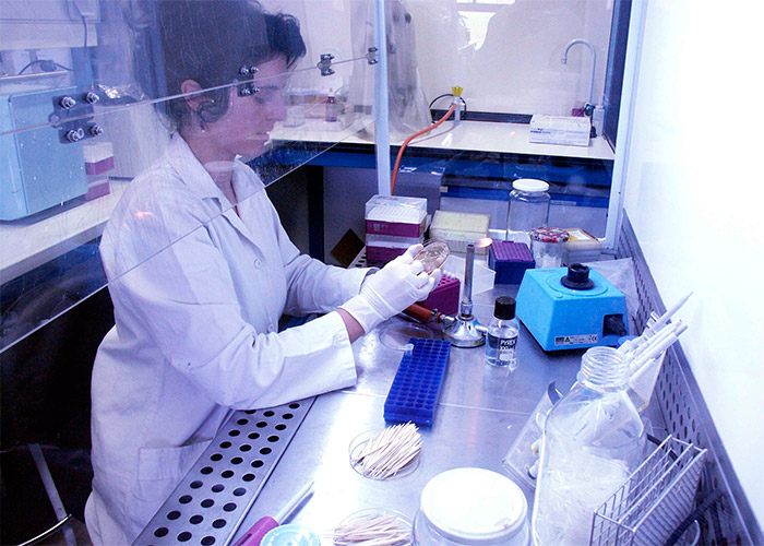 La corrupción, también en la investigación