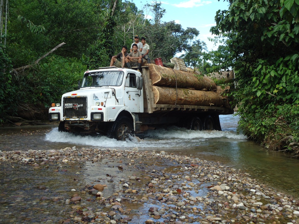Grupos armados ‘gorgojean’ el sector maderero