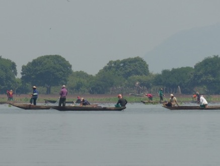 Pescadores de la Ciénaga de Zapatosa no respetaron el pacto de seguir capturando con transmallo