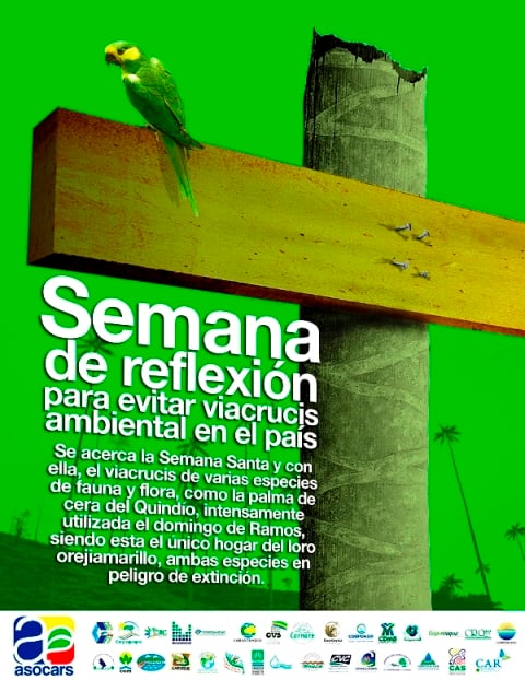 Semana santa, un calvario para lo ambiental