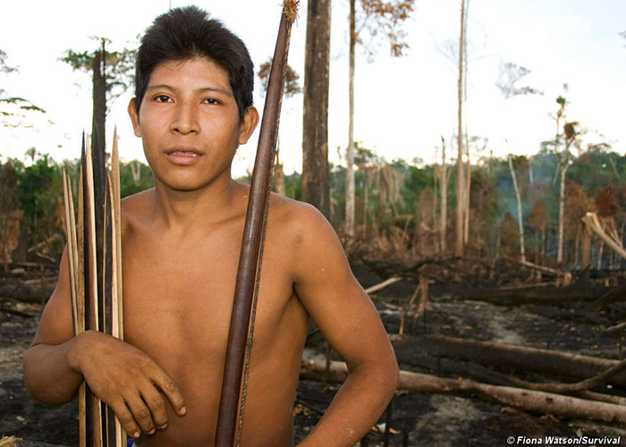 SOS a Europa por la vida de los indígenas awá