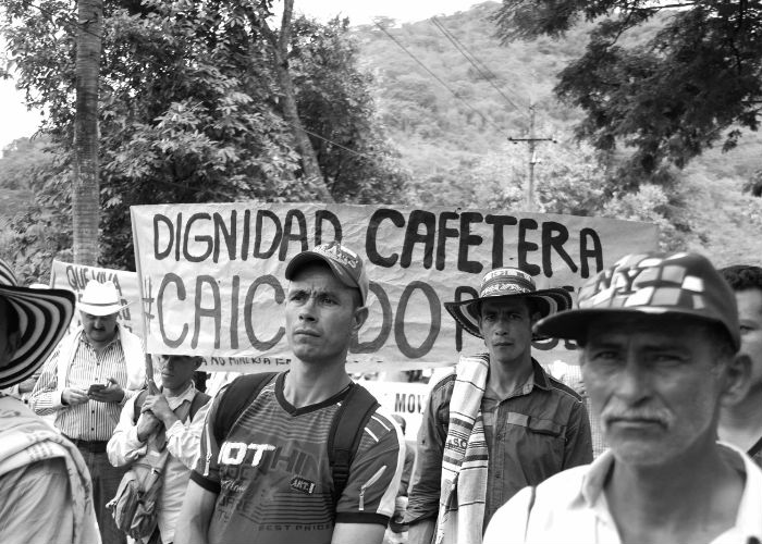 Caficultores que esperaban cheques por $4 millones, recibieron ridículos pagos por apenas 4.200 pesos: radiografía del paro cafetero