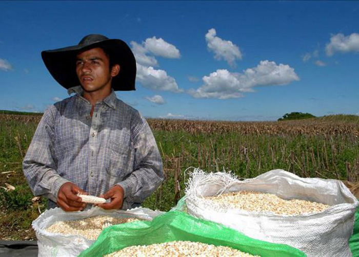 Ya no hay jóvenes en el campo