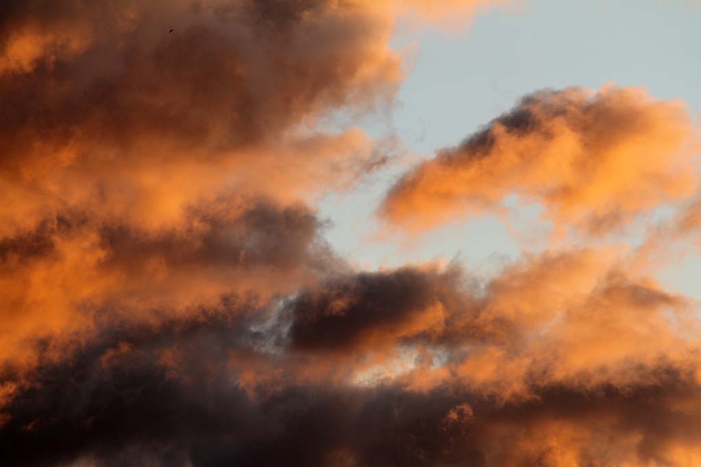 Todo: 'una estrella que desaparece, una civilización entera que se consume, en cada vida que se desperdicia'