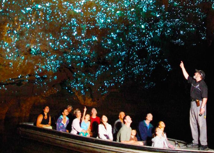 La cueva de los gusanos iluminados