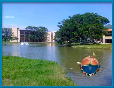 'No me parece correcto que critiquen de 