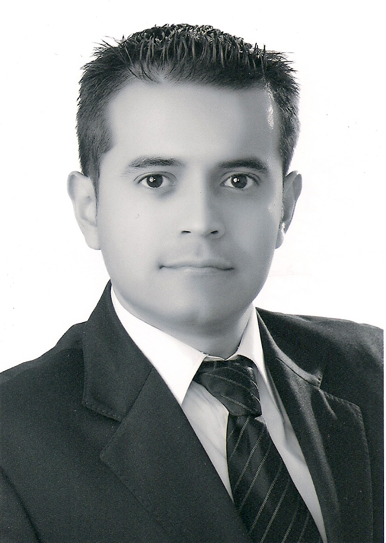 Hipotéticos políticos