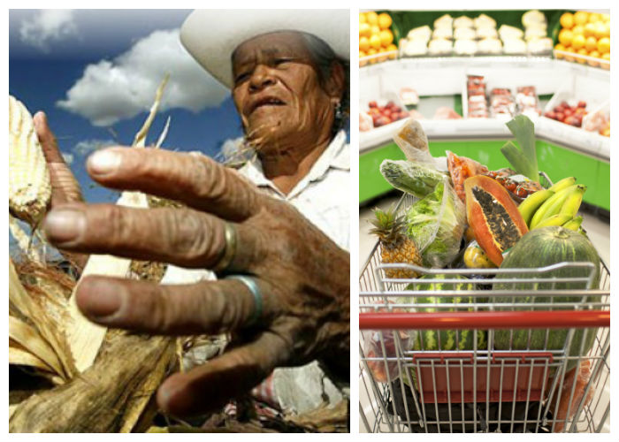 Latinoamérica es la despensa del mundo