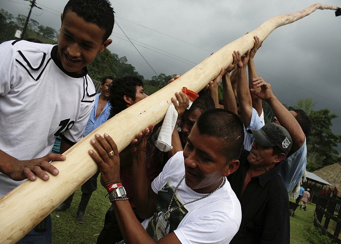 “Los paras y las Bacrim son el mismo perro con distinto collar”