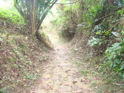 Carta a mi querida profesora