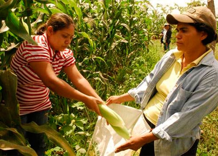 Visiones y preguntas sobre el desarrollo rural en Colombia