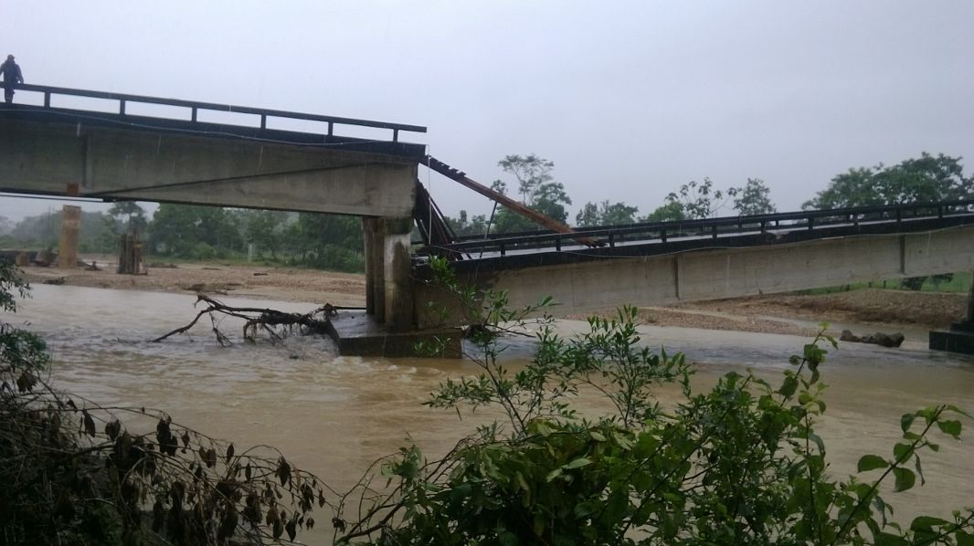 La legión del afecto se mueve