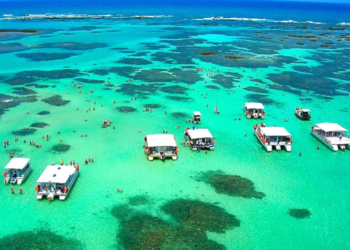 Brasil: corales y caballitos de mar