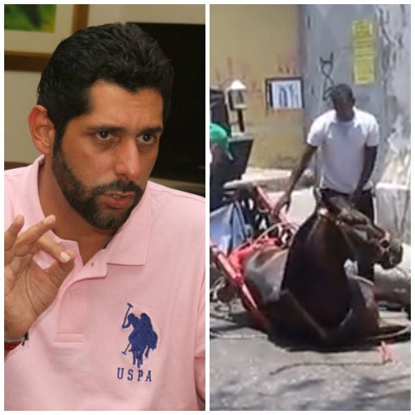 La desobediencia de Dionisio, el alcalde de Cartagena