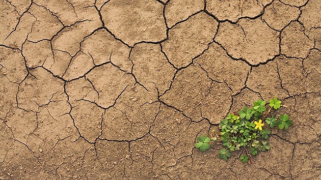 ¿El Niño tiene la culpa?