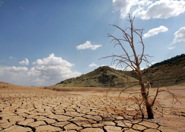 Se nos creció el Niño