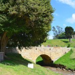  - Camino Boyacá, volver al futuro
