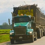  - Recorriendo Cali con una reina