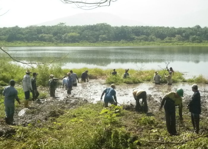 Hoy Santa Isabel ya no se encuentra a la venta