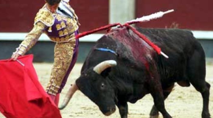  - Corridas de Toros, una fiesta criticada pero querida por muchos colombianos