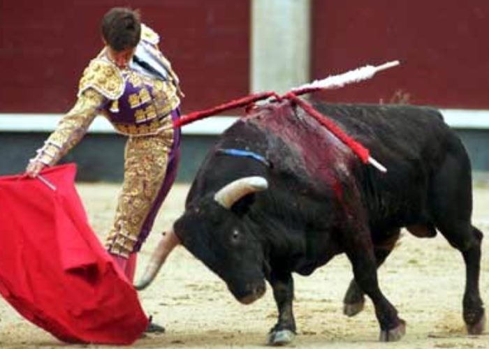 ¿Quién es realmente la bestia?